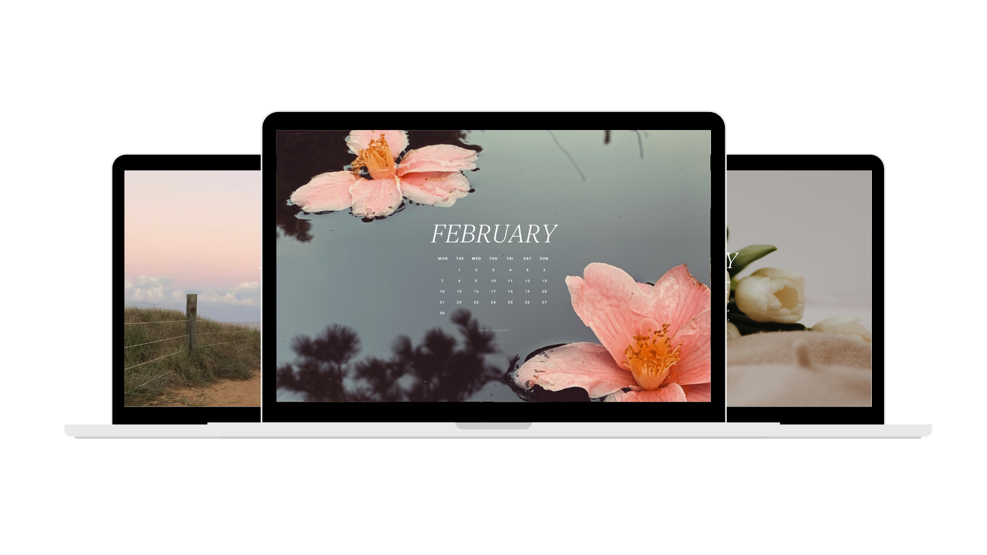 February 2022 Wallpapers