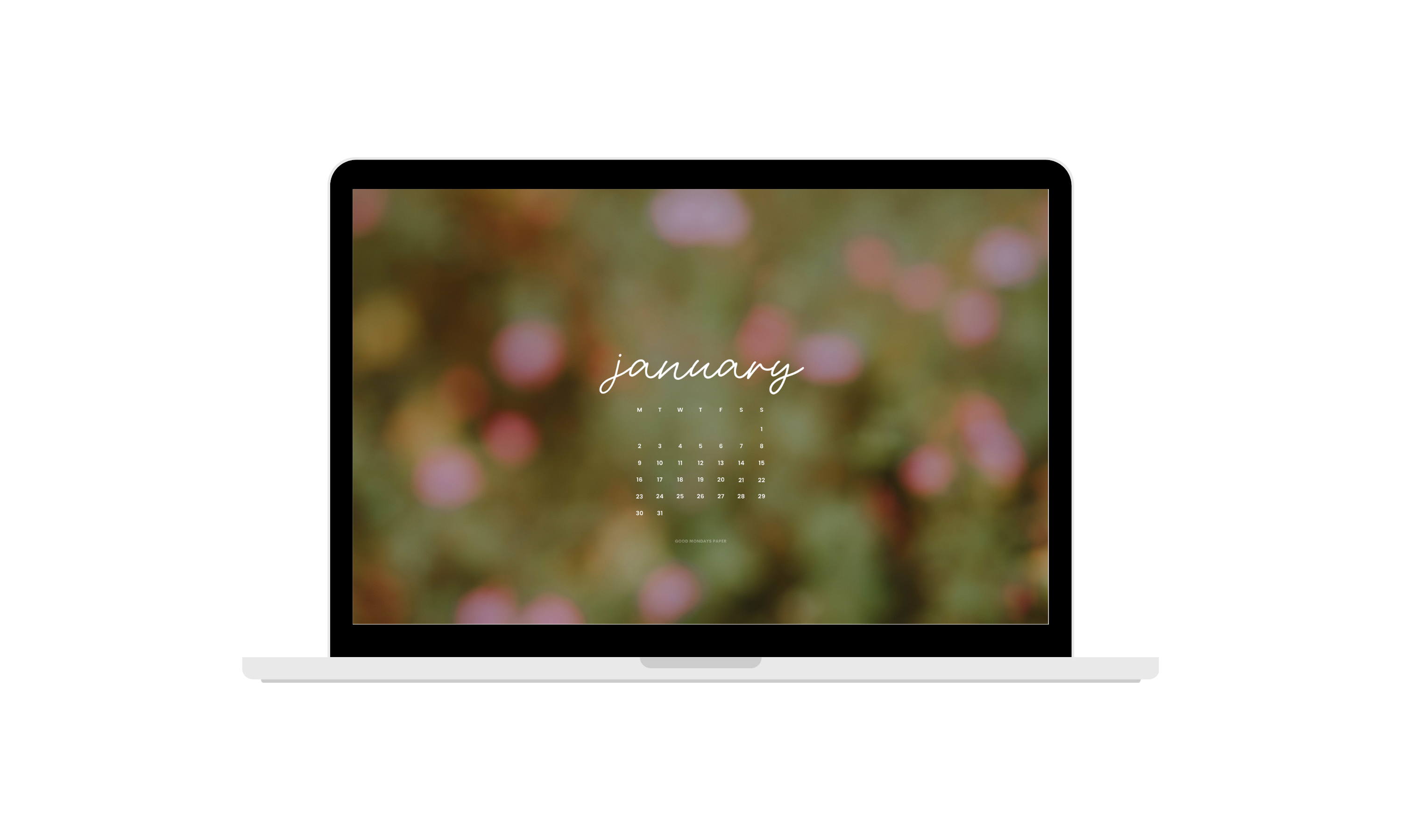 January 2023 Wallpapers