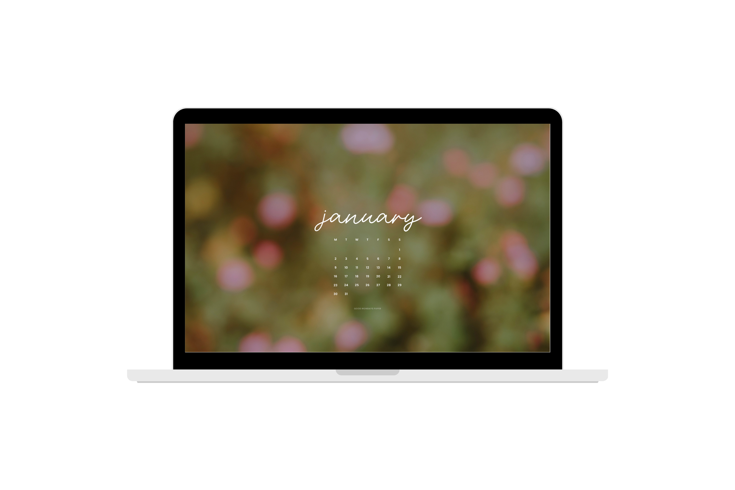 January 2023 Wallpapers