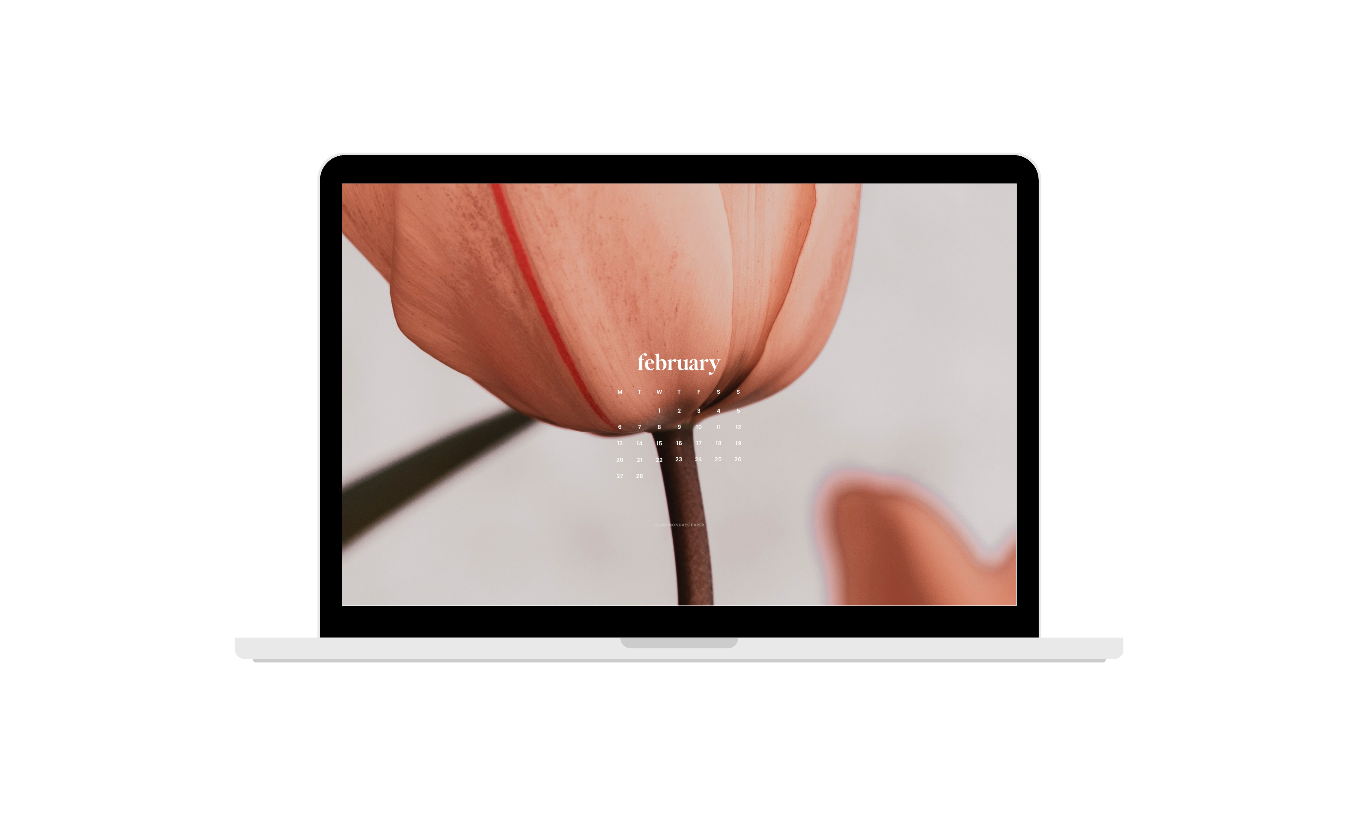 February 2023 Wallpapers