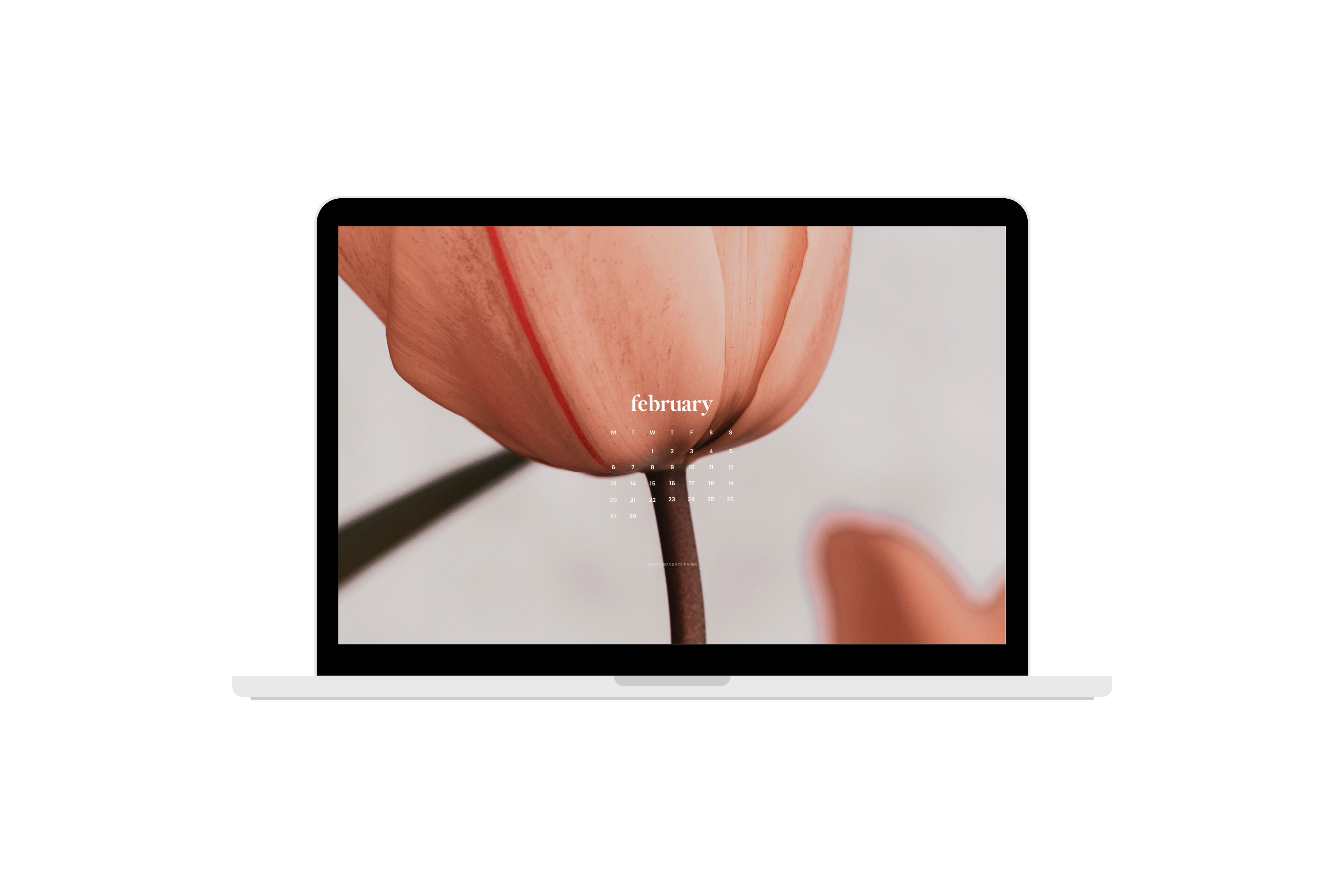 February 2023 Wallpapers