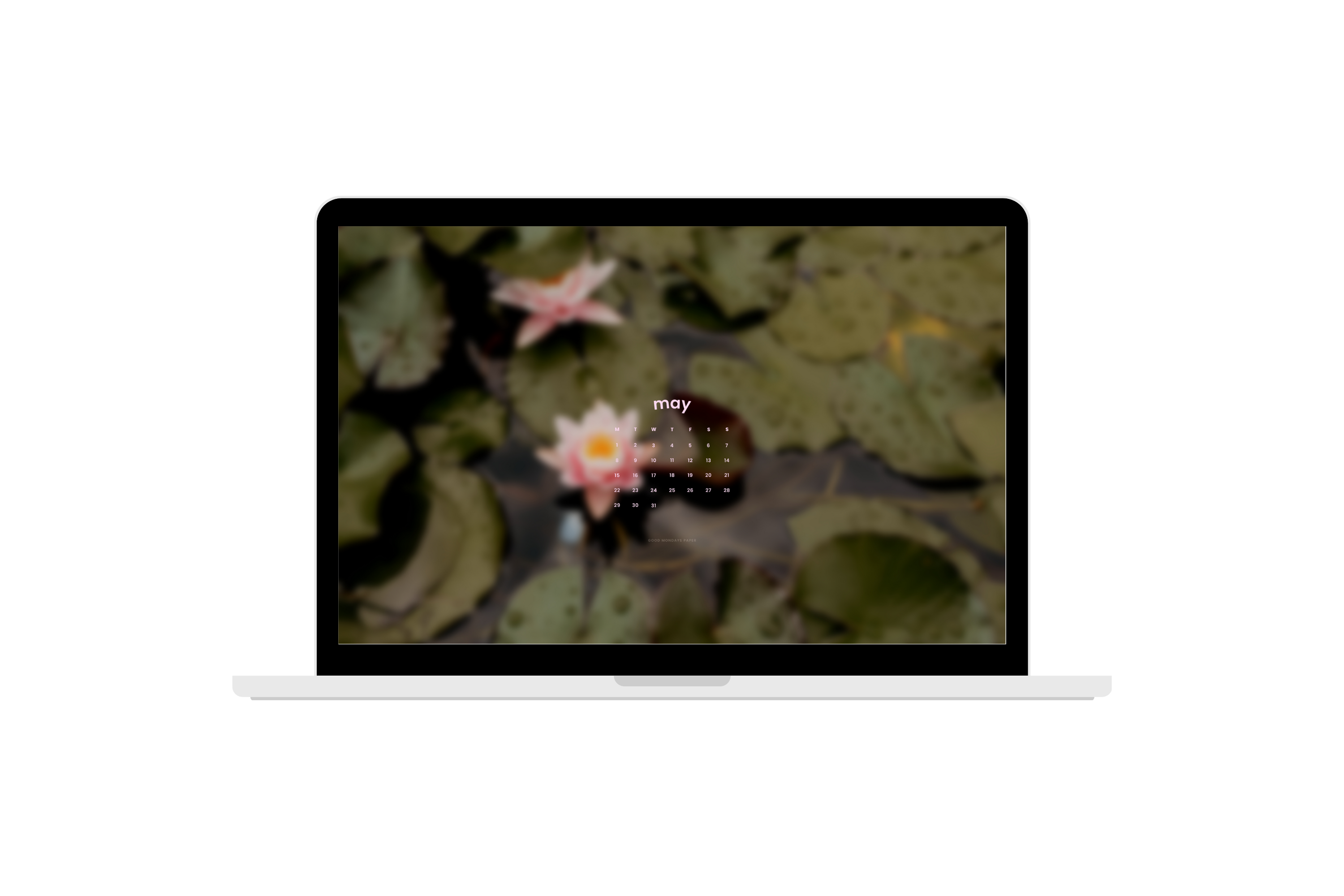 May 2023 Wallpapers