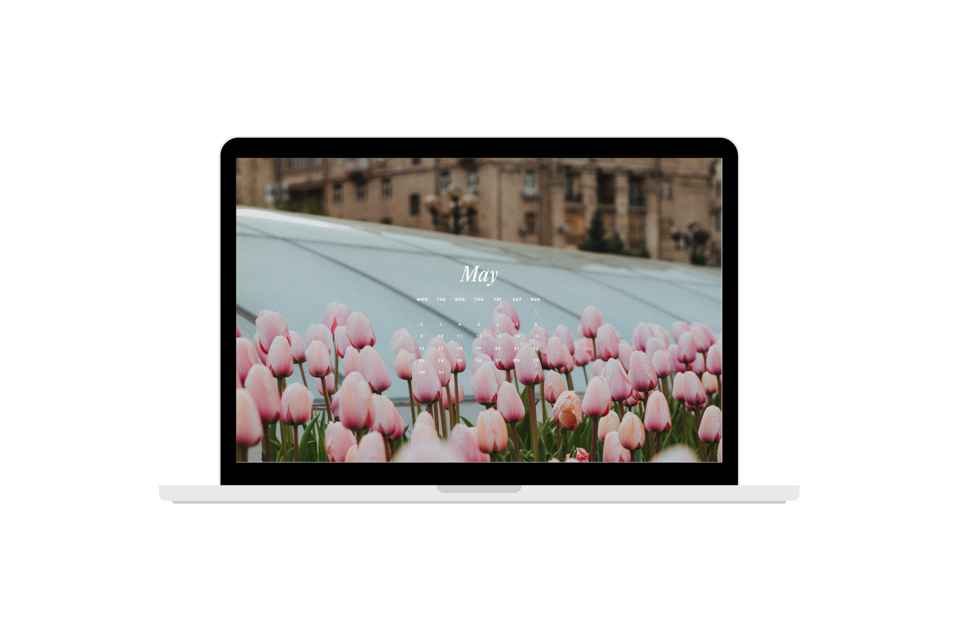 May 2022 Wallpapers Good Mondays Paper