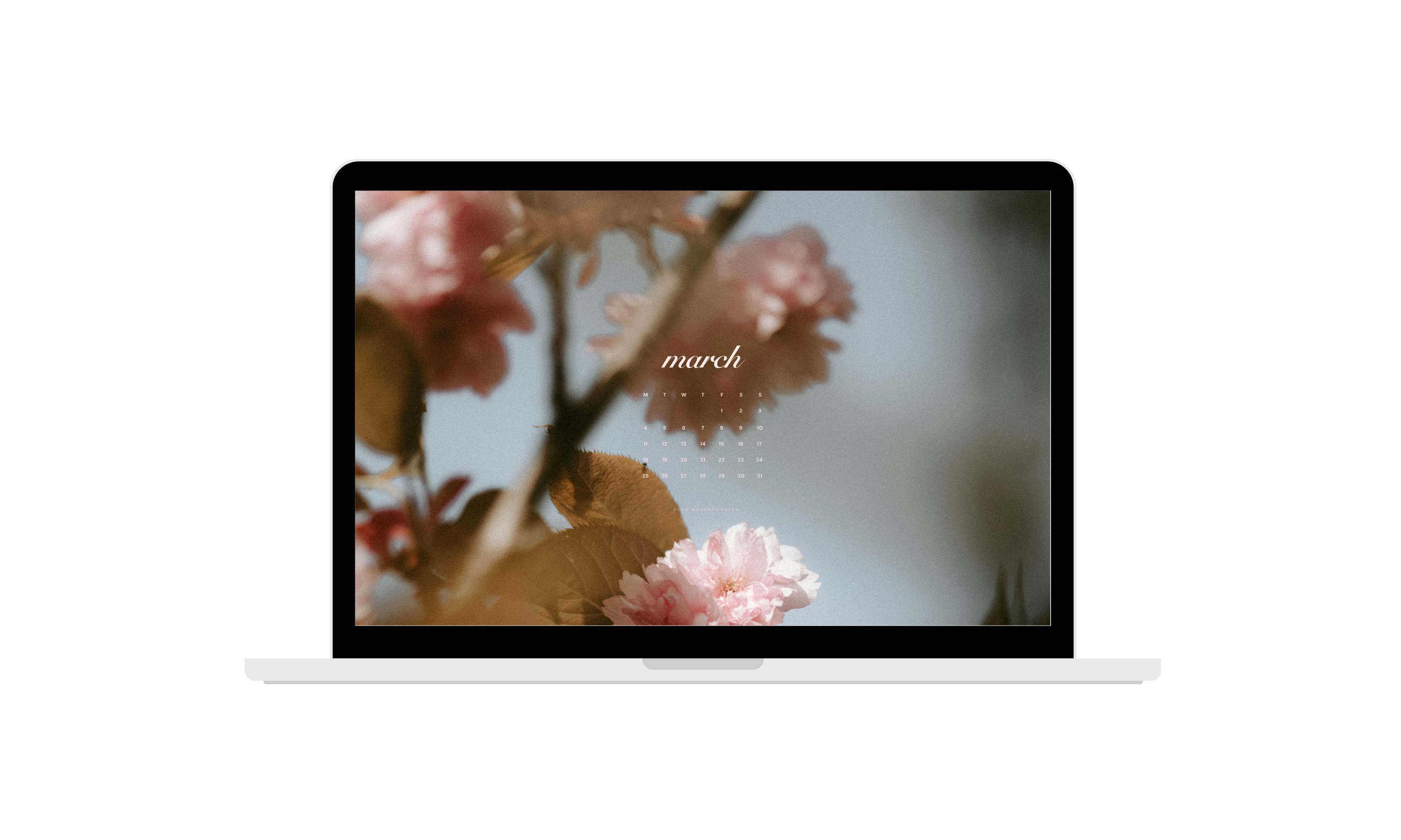 March 2024 Wallpapers