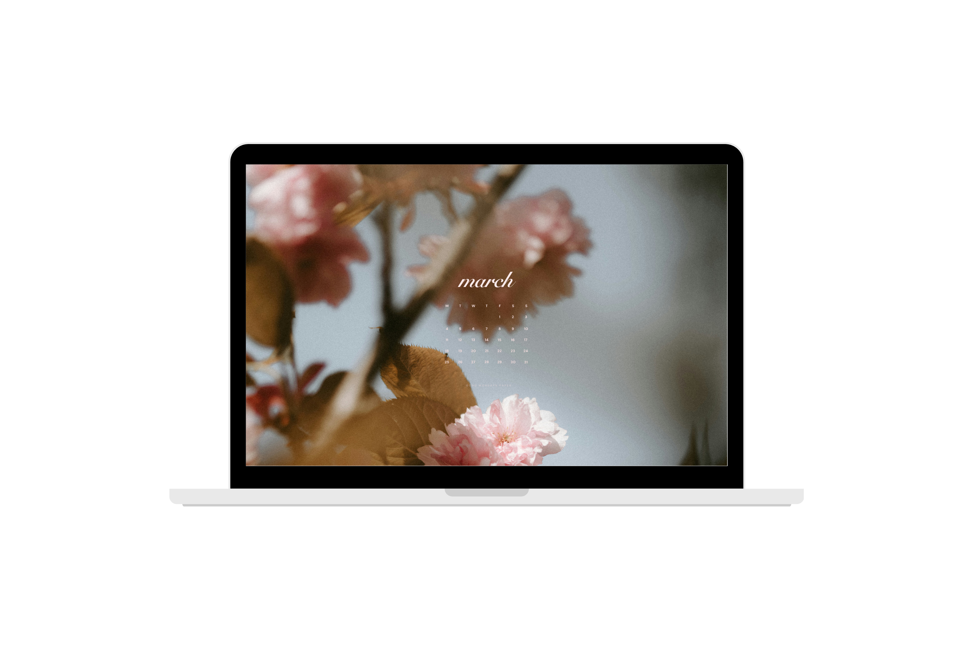 March 2024 Wallpapers