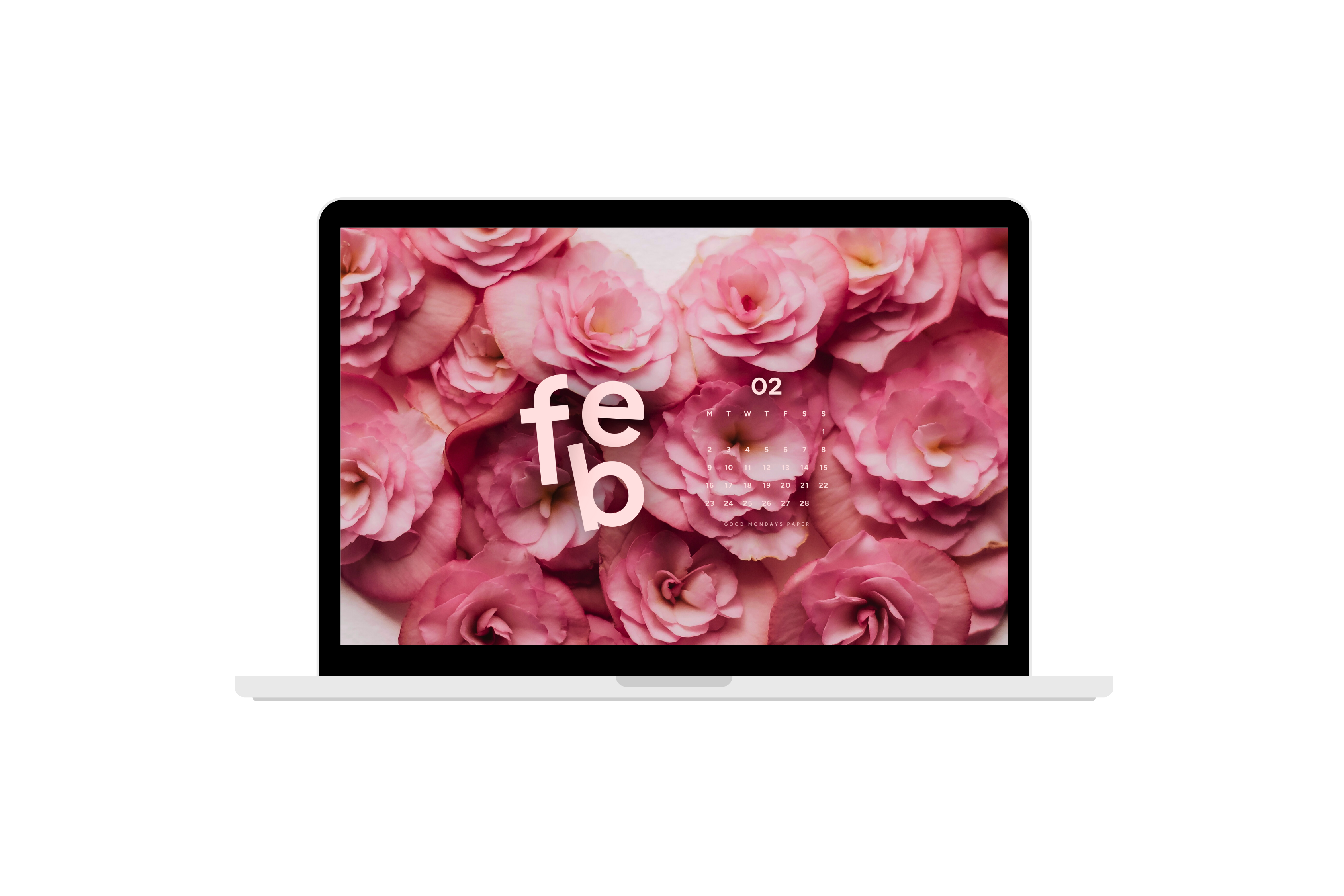 February 2026 Wallpapers