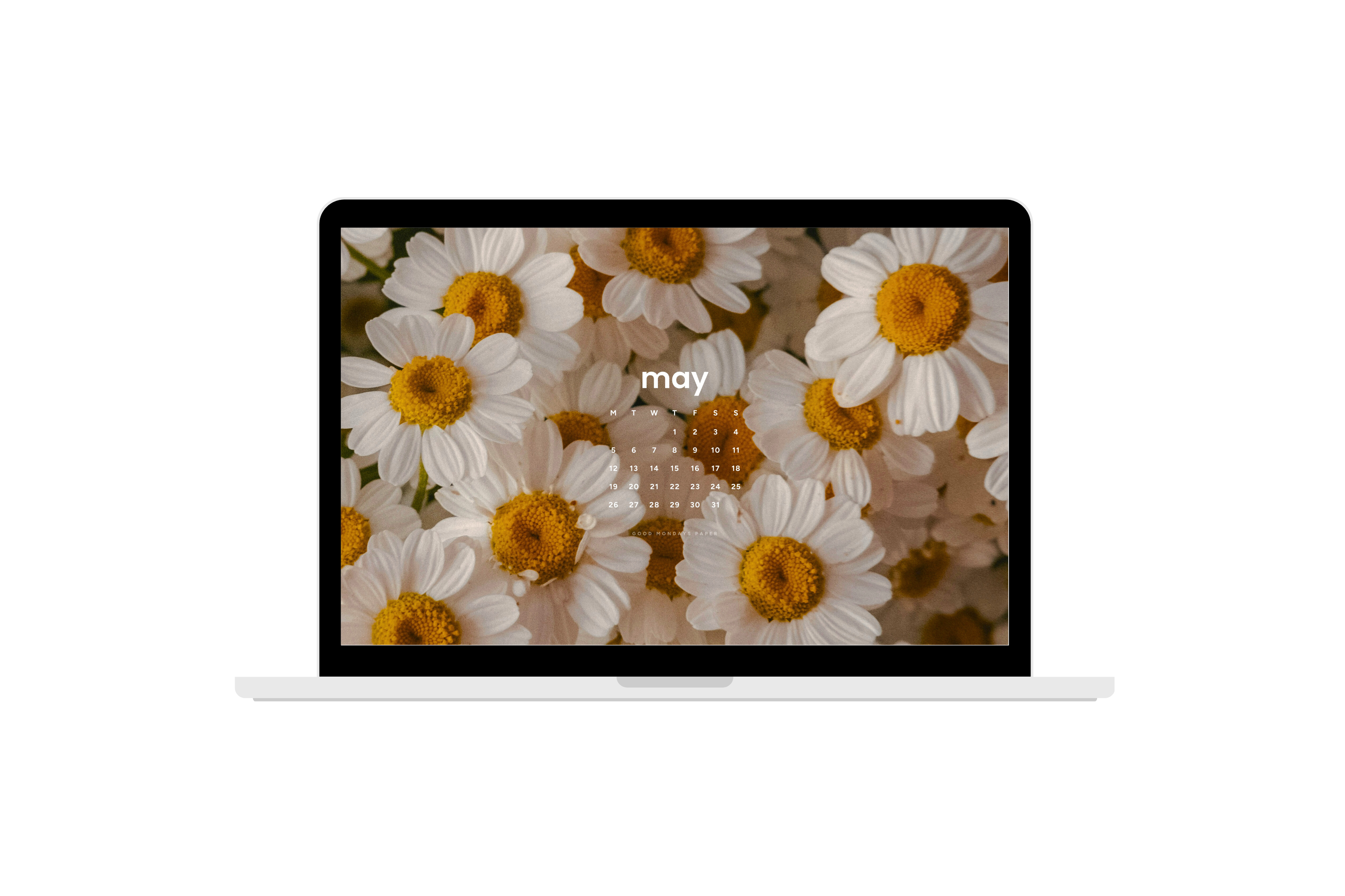 May 2025 Wallpapers