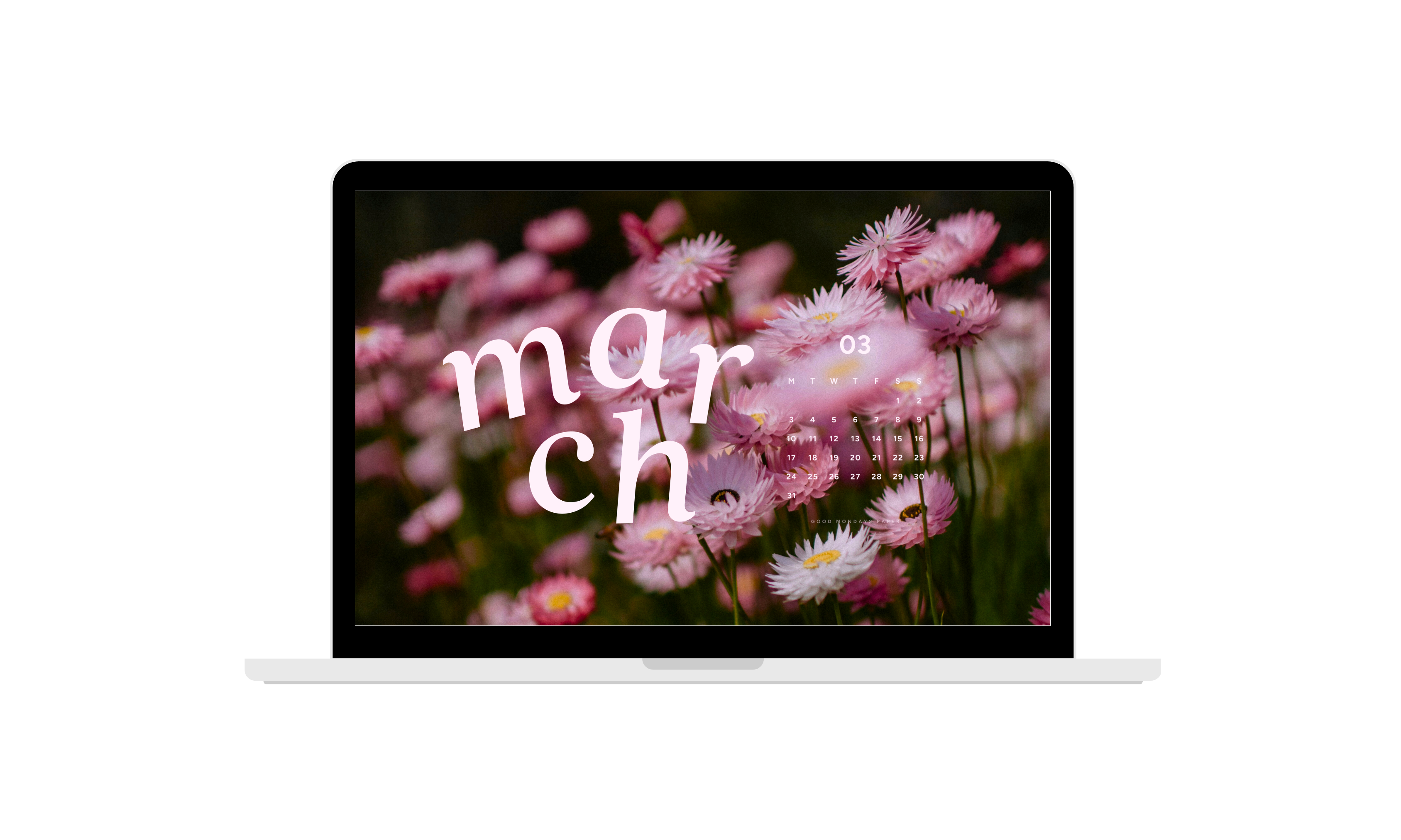 March 2025 Wallpapers