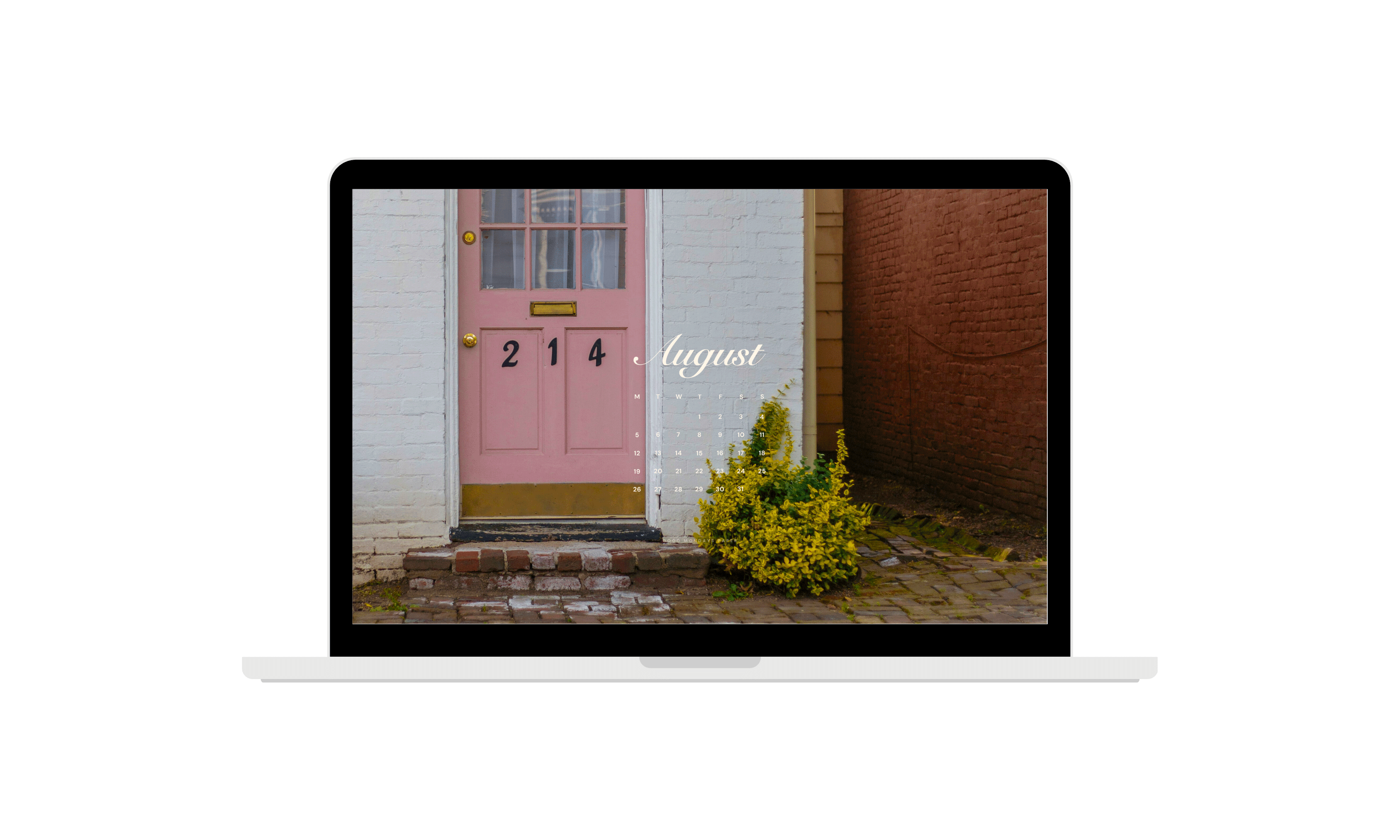 August 2024 Wallpapers