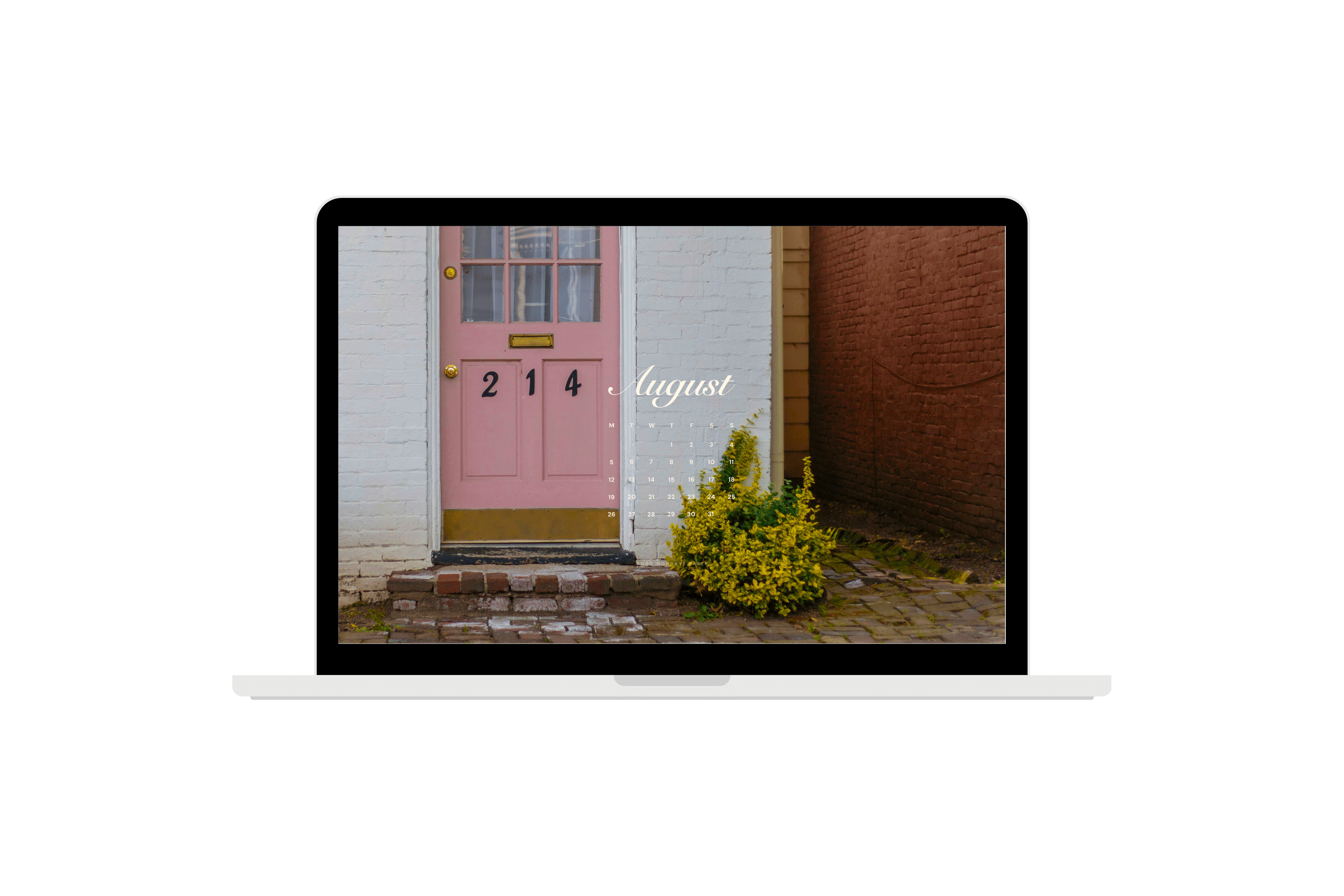 August 2024 Wallpapers